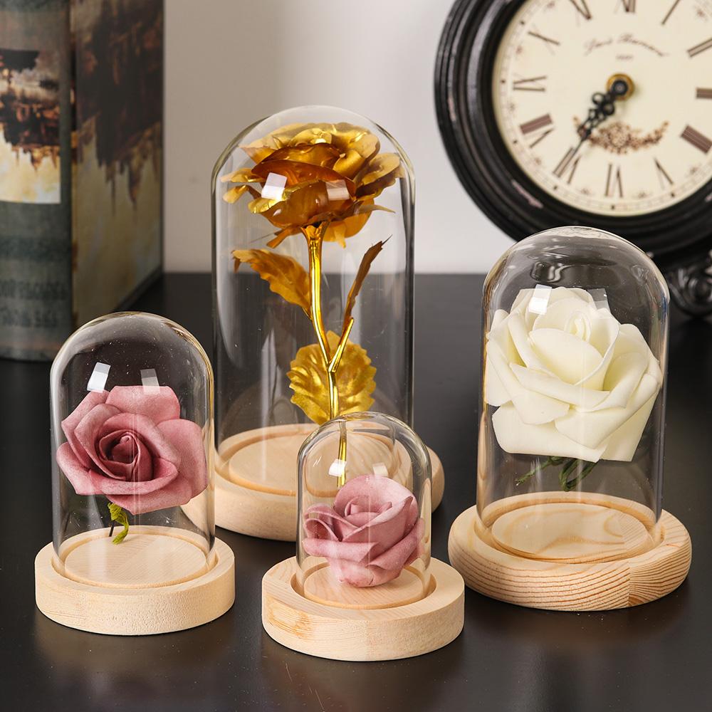 Ev Dekor Bitkileri Kavanoz Ter - Vase Decor incelemesi ve fiyatı