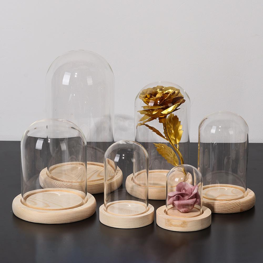 Ev Dekor Bitkileri Kavanoz Ter - Vase Decor incelemesi ve fiyatı